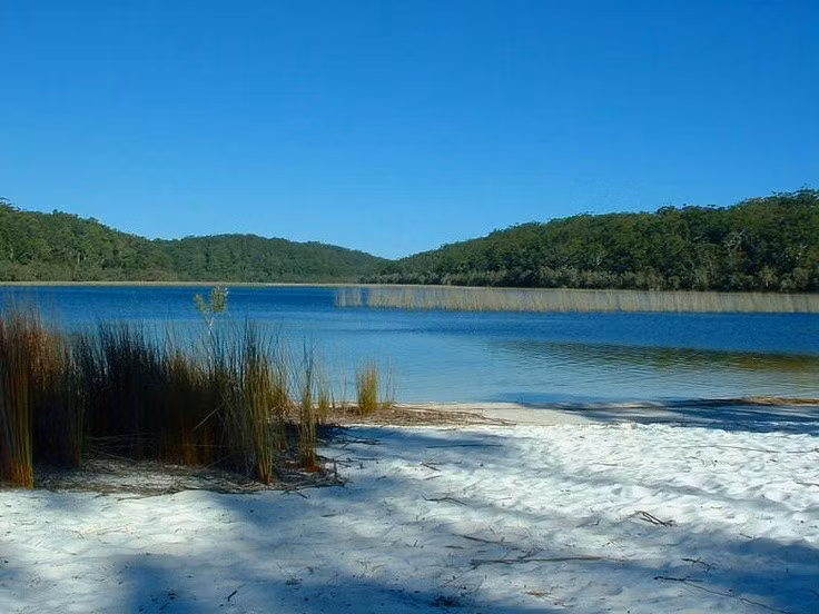 Hòn đảo có hàng chục hồ nước ngọt tuyệt đẹp. K’gari nổi tiếng với nhiều hồ nước ngọt trong vắt nằm giữa các cồn cát, trong đó có hồ McKenzie – một trong những hồ đẹp nhất Úc. Những hồ này được hình thành từ nước mưa tích tụ và được lọc tự nhiên qua lớp cát, khiến nước trong và sạch đến mức đáng kinh ngạc. Ảnh: Pinterest.