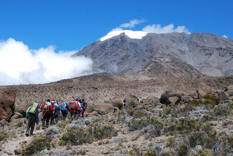 Điểm đến leo núi nổi tiếng toàn cầu. Núi Kilimanjaro được xem là một trong những ngọn núi cao dễ tiếp cận nhất thế giới vì không đòi hỏi kỹ thuật leo băng phức tạp. Mỗi năm có hàng chục nghìn người từ khắp nơi đến Tanzania để thử thách hành trình chinh phục “nóc nhà châu Phi”. Ảnh: Pinterest.