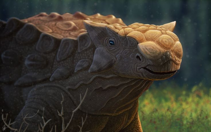 8. Hóa thạch của Ankylosaurus rất hiếm và không đầy đủ. Hầu hết các mẫu vật tìm thấy chỉ là các phần rời rạc, nên nhiều chi tiết về cơ thể thật sự của nó vẫn còn là bí ẩn. Ảnh: Pinterest.