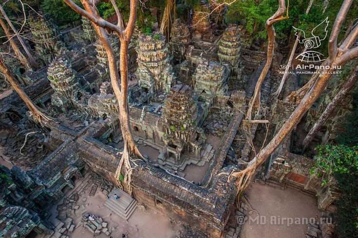 Ngôi đền từng là trung tâm tu học lớn. Thời hoàng kim, Ta Prohm có tới hàng nghìn tu sĩ, linh mục, vũ nữ và công nhân sinh sống và phục vụ. Ảnh: Pinterest.