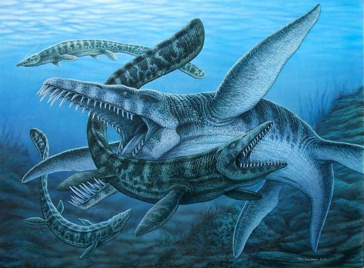 Kẻ săn mồi hàng đầu đại dương. Liopleurodon là kẻ đứng đầu chuỗi thức ăn biển kỷ Jura với hàm răng sắc bén và lực cắn khủng khiếp. Ảnh: Pinterest.