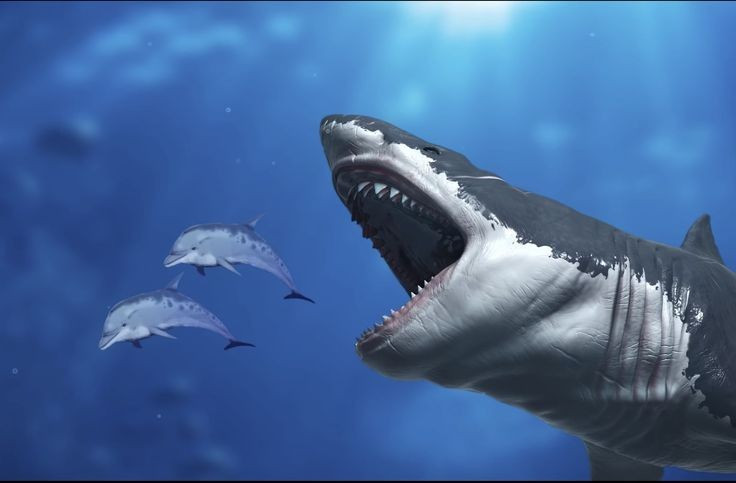 7. Tuyệt chủng do thay đổi môi trường biển. Sự sụt giảm nhiệt độ đại dương, thiếu hụt thức ăn và cạnh tranh với cá voi có răng như cá nhà táng là những nguyên nhân dẫn đến sự biến mất của Megalodon. Ảnh: Pinterest.