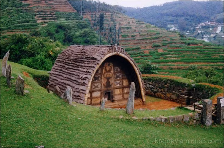 Nhà ở hình bán nguyệt độc đáo. Người Toda sống trong những túp nhà nhỏ gọi là “mund”, có mái vòm cong như nửa thùng rượu, được làm từ tre, gỗ và cỏ, rất phù hợp với khí hậu vùng cao nguyên. Ảnh: Pinterest.