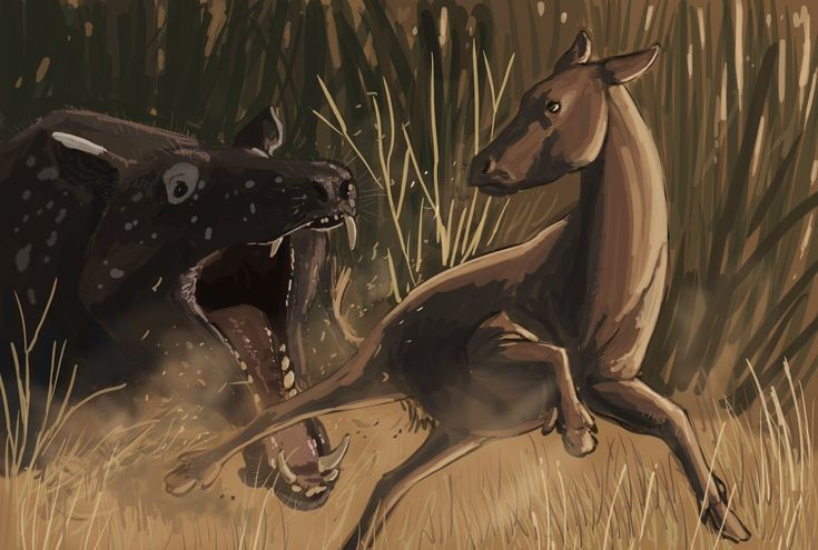 Áp lực từ kẻ săn mồi. Thảo nguyên mở khiến ngựa dễ bị phát hiện, vì vậy tốc độ trở thành yếu tố sống còn, thúc đẩy chọn lọc những cá thể chạy nhanh và bền hơn. Ảnh: Pinterest.