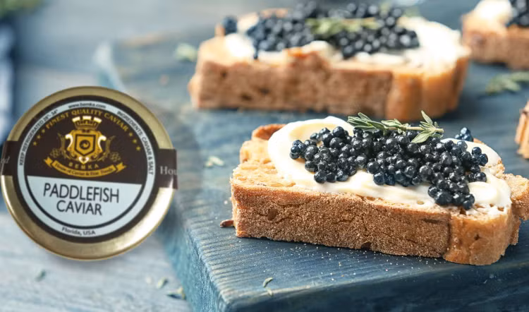 Trứng của chúng được xem là một loại “caviar” đặc biệt. Mặc dù không phải cá tầm thật sự, trứng của cá tầm thìa Mỹ vẫn được chế biến thành một loại caviar thay thế. Ảnh: Pinterest.