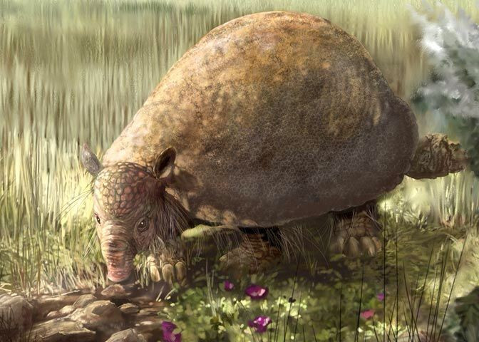 5. Glyptodon có thể nặng tới 2 tấn. Khối lượng to lớn này khiến nó trở thành một trong những động vật có vú nặng nhất từng sống trên cạn trong thế Pleistocene. Ảnh: Pinterest.