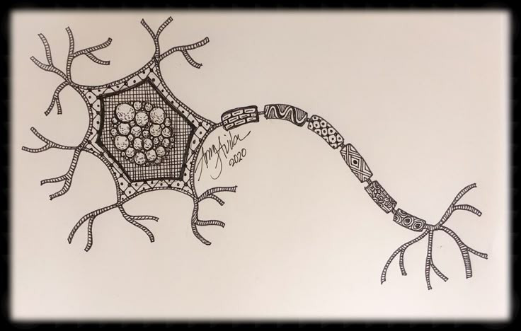 Công nghệ Neuropixels, có khả năng ghi lại tín hiệu từ hàng nghìn tế bào thần kinh cùng lúc, đóng vai trò then chốt trong việc tạo nên bản đồ này.