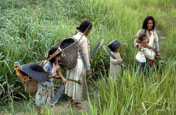 Một trong những tộc người bản địa đông nhất Amazon. Ticuna là cộng đồng bản địa có dân số lớn hàng đầu vùng Amazon, phân bố chủ yếu tại Brazil, Colombia và Peru, với hàng chục nghìn người vẫn duy trì lối sống truyền thống. Ảnh: socioambiental.org.