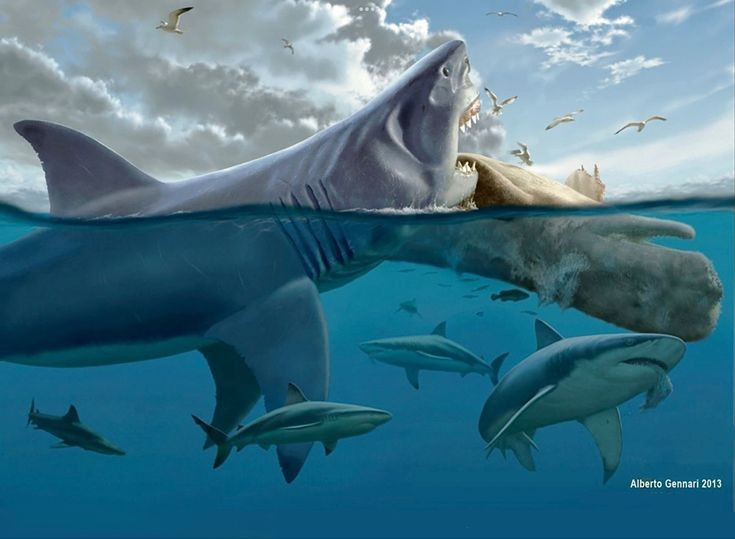 3. Bằng chứng từ sóng âm dưới nước. Một vài lần thiết bị sóng âm ghi nhận vật thể khổng lồ di chuyển dưới biển sâu chưa rõ danh tính. Ảnh: Pinterest.