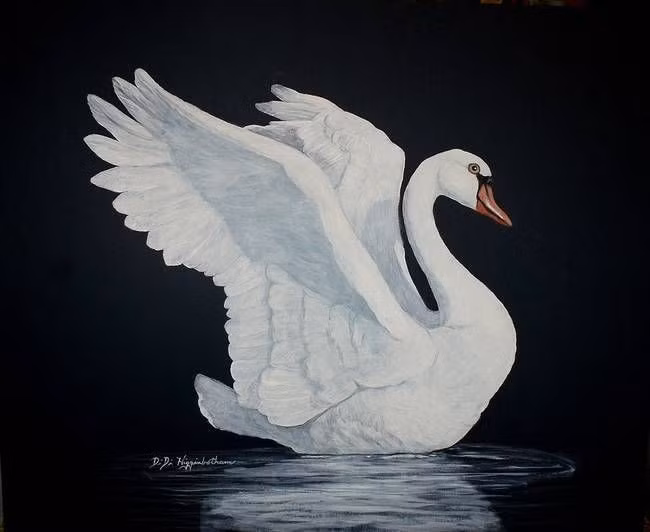 Thiên nga có vai trò quan trọng trong văn hóa nghệ thuật. Từ “Hồ Thiên Nga” của Tchaikovsky đến hình tượng thi ca châu Âu, thiên nga luôn là biểu tượng của tình yêu thuần khiết. Ảnh: Pinterest.