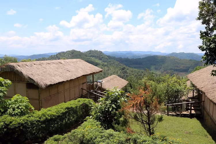 Cộng đồng địa phương tham gia bảo tồn. Các chương trình bảo tồn tại Bwindi có sự tham gia của người dân địa phương, giúp họ hưởng lợi từ du lịch và giảm áp lực khai thác rừng. Đây là mô hình kết hợp giữa bảo tồn thiên nhiên và phát triển cộng đồng. Ảnh: Flickr.