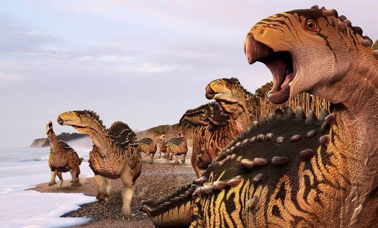 Thức ăn chủ yếu là thực vật thấp. Hàm răng Scelidosaurus nhỏ hình lá thích hợp để cắt và nghiền thực vật mềm gần mặt đất như dương xỉ và cây bụi thấp, vốn phổ biến trong hệ sinh thái Jura. Ảnh: Pinterest.