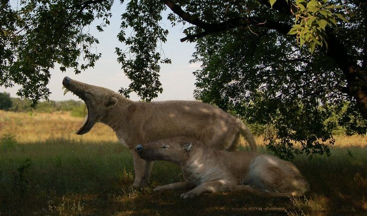 5. Hộp sọ dài và thuôn nhọn đặc trưng. Hộp sọ của Hyaenodon có hình dạng thon dài giống cá sấu, giúp tăng hiệu quả cắn và tạo áp lực lớn khi tấn công con mồi. Ảnh: Pinterest.