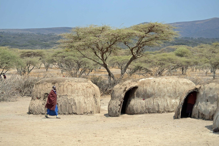 Nhà enkang hình tròn. Nhà truyền thống của người Maasai được làm từ bùn, phân bò và cành cây, tạo thành vòng tròn. Ảnh: maasaitribekenya.weebly.com.