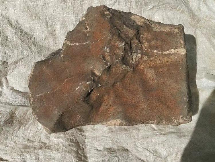 Thiên thạch này có kích thước lớn vượt trội, chiếm gần 7% tổng khối lượng đá Sao Hỏa từng được con người thu thập, và nặng gấp 1,7 lần khối lớn thứ hai. Ảnh: wikimedia.