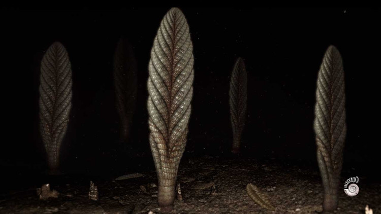 Cấu trúc “phân nhánh lặp lại” độc đáo. Cơ thể của Charnia có dạng phân nhánh lặp lại theo quy luật, mỗi nhánh nhỏ giống với toàn bộ cấu trúc lớn hơn – một dạng hình học sinh học đặc biệt. Ảnh: ytimg.com.