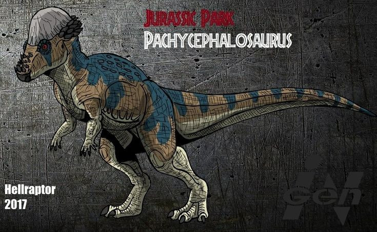 Đi bằng hai chân. Giống như nhiều loài khủng long ăn thực vật khác trong nhóm Ornithischia, Pachycephalosaurus có cấu trúc chi sau khỏe và thường đi bằng hai chân. Ảnh: Pinterest.