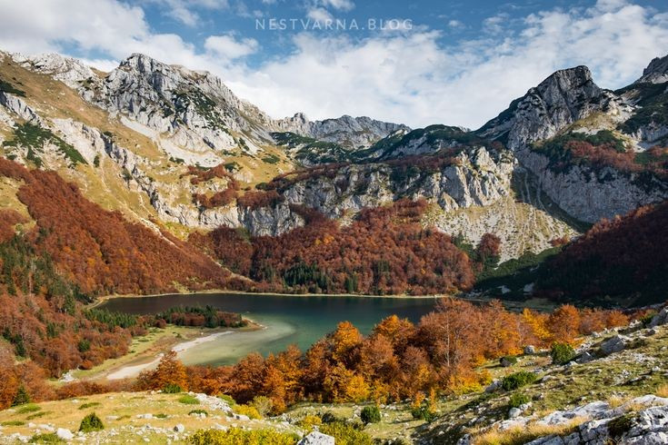 Biến đổi ngoạn mục theo từng mùa trong năm. Từ thảm hoa rực rỡ mùa xuân đến tuyết trắng mùa đông, Durmitor mang diện mạo mới mỗi khi chuyển mùa, cuốn hút du khách quanh năm. Ảnh: Pinterest.