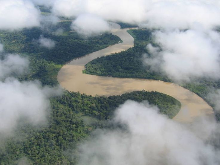 Nơi đây là cầu nối tự nhiên giữa hai châu lục. Darién nằm giữa Bắc và Nam Mỹ, là hành lang di cư quan trọng của nhiều loài động vật. Ảnh: Pinterest.