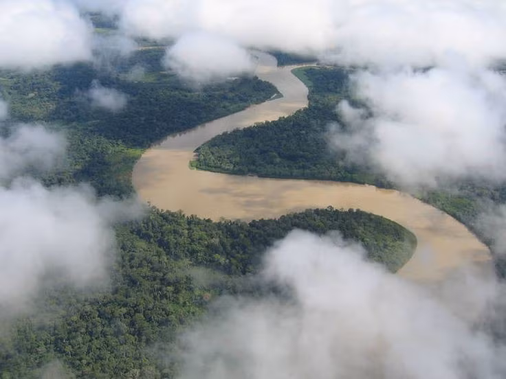 Nơi đây là cầu nối tự nhiên giữa hai châu lục. Darién nằm giữa Bắc và Nam Mỹ, là hành lang di cư quan trọng của nhiều loài động vật. Ảnh: Pinterest.