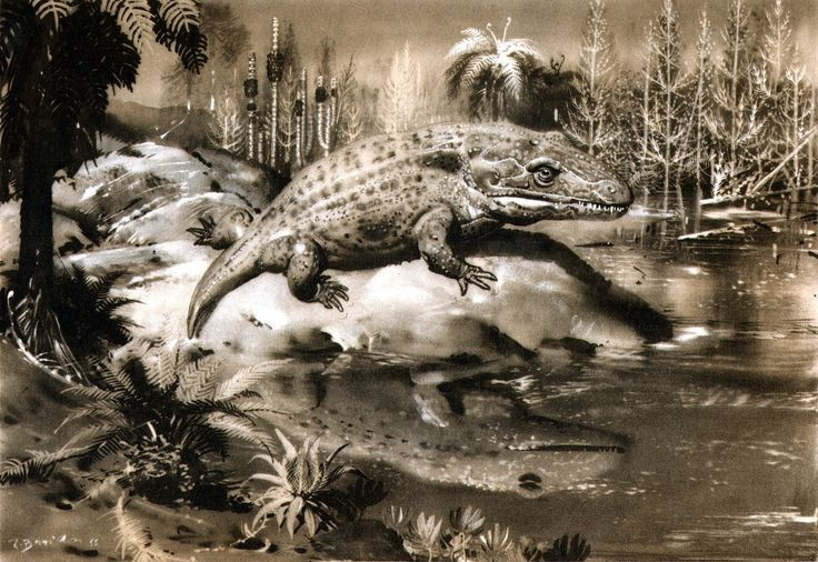 Dài tới 6 mét. Là loài lưỡng cư lớn nhất từng tồn tại, Mastodonsaurus có cơ thể dài như một chiếc xe hơi và đầu chiếm gần 1/3 chiều dài. Ảnh: Pinterest. Dài tới 6 mét. Là loài lưỡng cư lớn nhất từng tồn tại, Mastodonsaurus có cơ thể dài như một chiếc xe hơi và đầu chiếm gần 1/3 chiều dài. Ảnh: Pinterest.