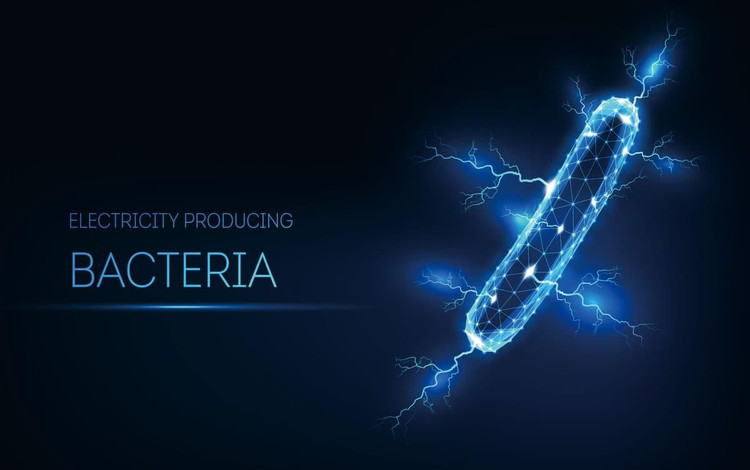 3. Sản xuất điện từ chất thải hữu cơ. Chúng có thể phân giải rác, bùn thải hay các hợp chất hữu cơ và biến năng lượng hóa học thành điện năng. Ảnh: tsukuba.ac.jp.