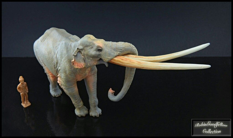 5. Phân bố rộng khắp châu Á. Hóa thạch Stegodon được tìm thấy tại Trung Quốc, Ấn Độ, Indonesia, Nhật Bản và nhiều vùng khác ở Đông Nam Á. Ảnh: Pinterest.