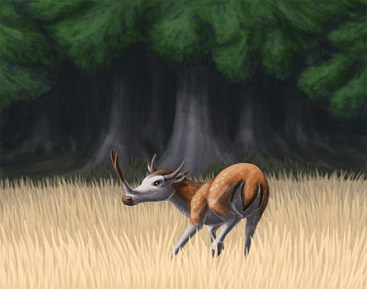 Sở hữu cặp sừng mũi phân nhánh độc đáo. Đặc điểm nổi bật nhất của Synthetoceras là cặp sừng mọc trên mũi, tách nhánh như chữ Y, khác hẳn sừng của hươu hay linh dương. Ảnh: Pinterest.