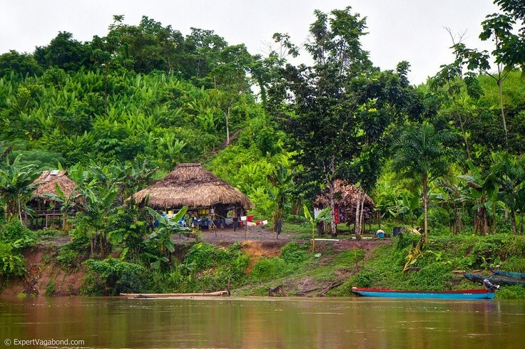 Nhiều cộng đồng bản địa vẫn sinh sống trong rừng. Người Emberá và Wounaan duy trì lối sống truyền thống giữa thiên nhiên hoang dã. Ảnh: Pinterest.