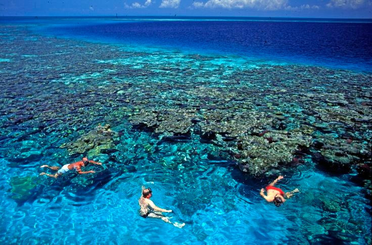 Đây là thiên đường của thợ lặn và du khách. Nước biển trong xanh cùng sự đa dạng sinh học khiến nơi đây trở thành điểm đến hàng đầu cho hoạt động lặn biển. Ảnh: Pinterest.