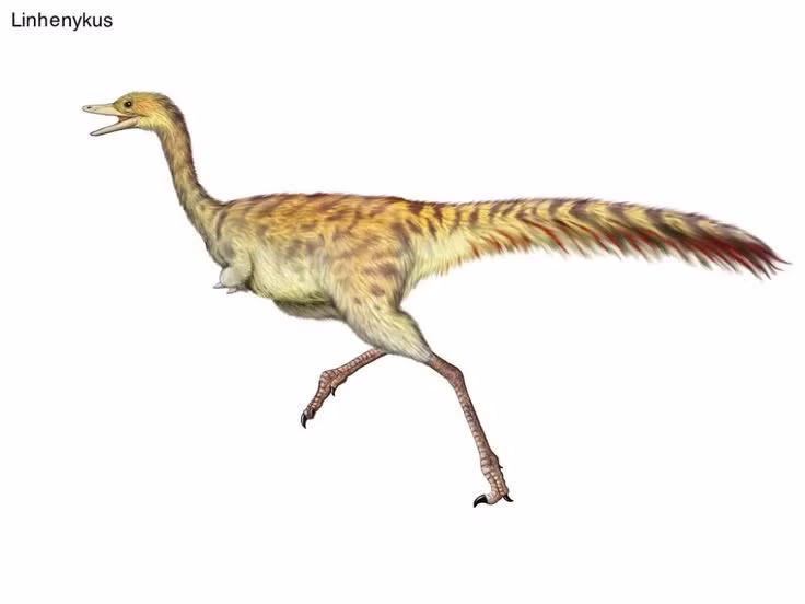 Đặc trưng bởi chi trước chỉ có một ngón. Khác với hầu hết khủng long chân thú, Linhenykus sở hữu cánh tay cực ngắn với duy nhất một móng vuốt, minh chứng cho sự tiến hóa hiếm gặp. Ảnh: Pinterest.