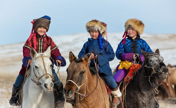 Thể hình nhỏ nhưng sức chịu đựng phi thường. Dù thấp và không to lớn, ngựa Mông Cổ có xương chắc, móng cứng, khả năng đi đường dài liên tục nhiều ngày mà không cần chăm sóc đặc biệt. Ảnh: Pinterest.