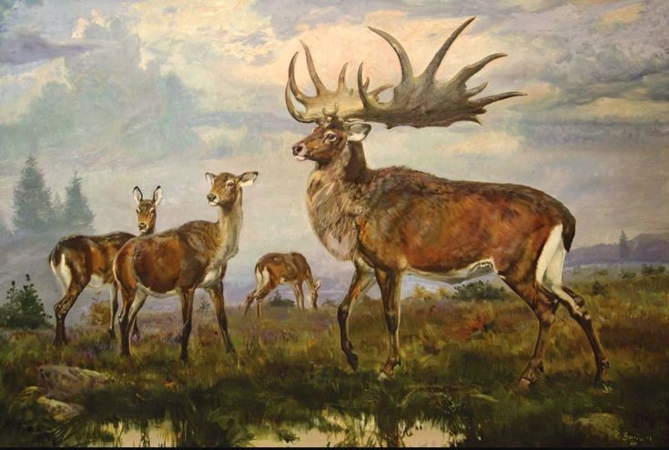 Được mô tả trong nghệ thuật cổ. Nhiều hình khắc trong hang động thời tiền sử thể hiện hình ảnh loài nai sừng khổng lồ này. Ảnh: Pinterest.