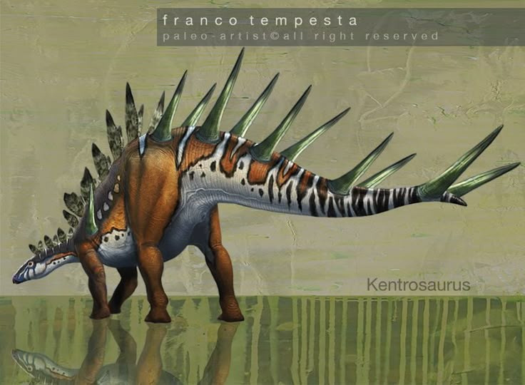 Ăn thực vật thấp sát mặt đất. Với hàm răng nhỏ và mỏ thích nghi, Kentrosaurus chủ yếu gặm các loại dương xỉ, cây bụi thấp và thảm thực vật gần mặt đất. Ảnh: Pinterest.