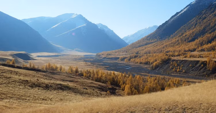 Hệ sinh thái phong phú. Nơi đây có thảo nguyên, sa mạc, rừng taiga và đầm lầy, là môi trường sống của nhiều loài động thực vật quý hiếm. Ảnh: whc.unesco.org.