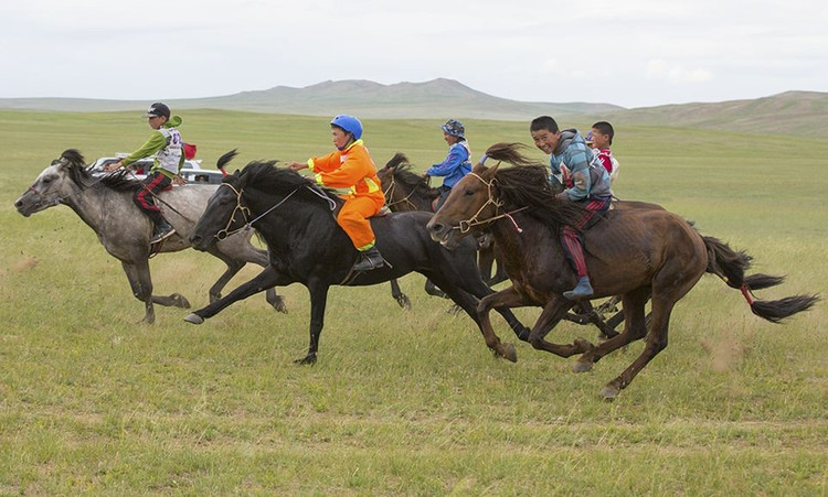 Tốc độ và sự cơ động chiến thuật. Ngựa Mông Cổ không phải nhanh nhất trong cự ly ngắn, nhưng duy trì tốc độ ổn định trên quãng đường dài, cho phép kỵ binh di chuyển bất ngờ và đánh nhanh rút gọn. Ảnh: Pinterest.