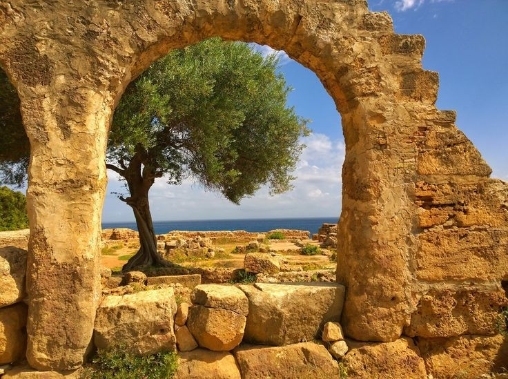 Tipasa bị tàn phá trong các cuộc xung đột thời cổ. Vào thế kỷ 5, thành phố bị quân Vandal chiếm đóng và phá hủy một phần. Sau đó, cư dân còn lại dần rời bỏ khu vực, khiến Tipasa suy tàn theo thời gian. Nhiều công trình cổ bị chôn vùi hoặc hư hại qua nhiều thế kỷ. Ảnh: Pinterest.