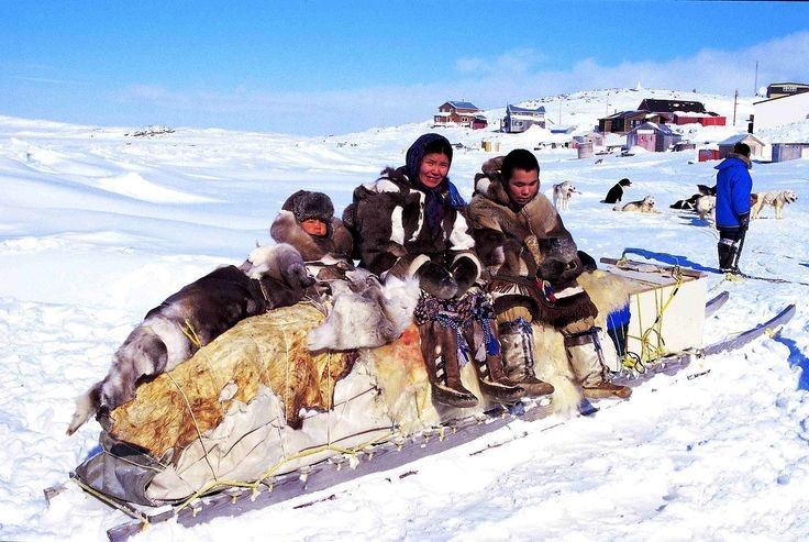 Ngôn ngữ Inuit có nhiều từ mô tả tuyết. Điều này phản ánh môi trường sống và nhu cầu phân biệt các loại tuyết khác nhau của họ. Ảnh: Pinterest.