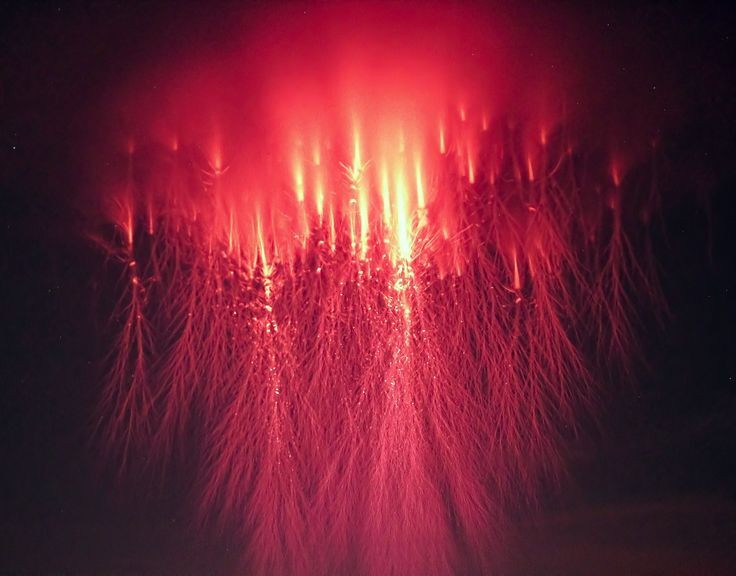 2. Sprite là dạng phổ biến và dễ quan sát nhất. Sprite thường có màu đỏ, xuất hiện thành cụm và trông như những xúc tu sứa khổng lồ lóe sáng trên bầu trời cao hơn tầng mây dông. Ảnh: Pinterest.