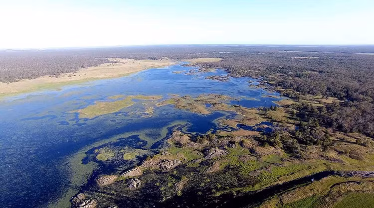 Tên gọi Budj Bim liên quan đến một ngọn núi lửa cổ. Budj Bim thực chất là tên của một ngọn núi lửa đã tắt từ hàng chục nghìn năm trước. Các dòng dung nham cổ tạo nên địa hình đá bazan đặc trưng với nhiều hồ, đầm lầy và kênh tự nhiên, trở thành nền tảng cho hệ thống canh tác thủy sinh độc đáo của cư dân bản địa. Ảnh: nma.gov.au.