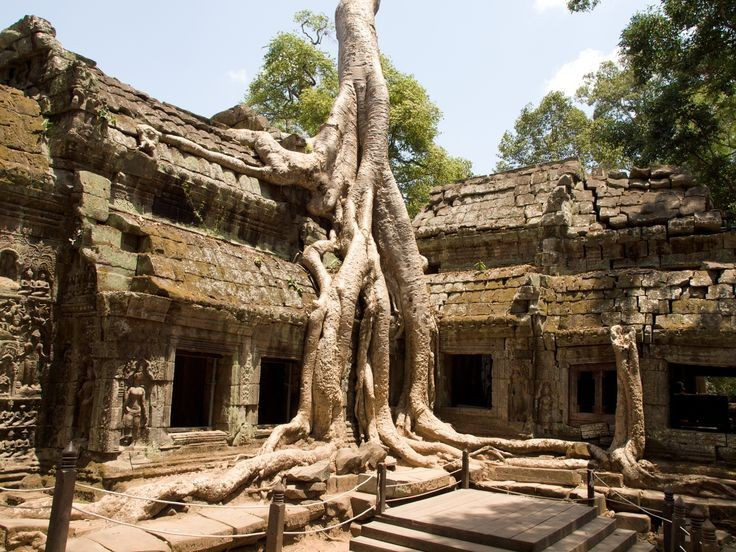 Đền Ta Prohm được xây dựng từ thế kỷ 12. Ngôi đền do vua Jayavarman VII cho xây dựng như một tu viện Phật giáo Mahayana lớn của đế chế Khmer. Ảnh: Pinterest.