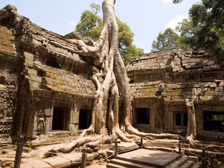 Đền Ta Prohm được xây dựng từ thế kỷ 12. Ngôi đền do vua Jayavarman VII cho xây dựng như một tu viện Phật giáo Mahayana lớn của đế chế Khmer. Ảnh: Pinterest.