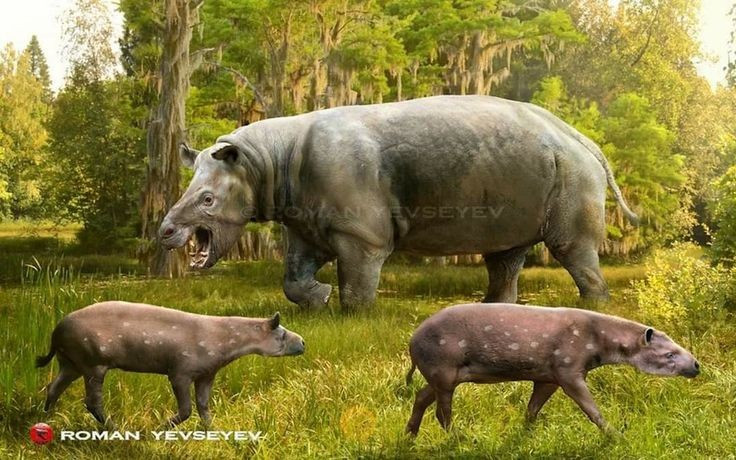 Bị săn bởi con người cổ đại. Bằng chứng khảo cổ chỉ ra rằng những cộng đồng người đầu tiên ở Nam Mỹ từng săn Toxodon làm thực phẩm. Ảnh: Pinterest.