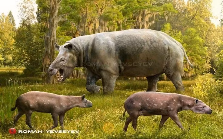 Bị săn bởi con người cổ đại. Bằng chứng khảo cổ chỉ ra rằng những cộng đồng người đầu tiên ở Nam Mỹ từng săn Toxodon làm thực phẩm. Ảnh: Pinterest.