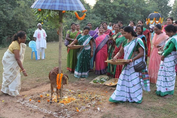 Truyền thống gắn bó với rừng và nông nghiệp. Trong lịch sử, người Santal sinh sống chủ yếu bằng nông nghiệp, săn bắt và khai thác tài nguyên rừng. Các ngôi làng của họ thường nằm gần rừng hoặc vùng đồi thấp, nơi họ trồng lúa, kê và nhiều loại cây lương thực khác. Ảnh: Pinterest.