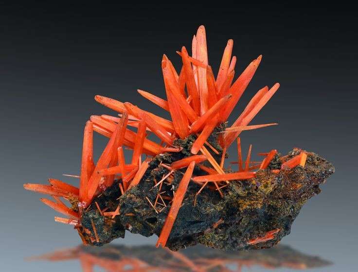 Nổi tiếng nhất ở Tasmania (Úc). Các mỏ ở Dundas, Tasmania, Australia, là nơi có những tinh thể crocoite đẹp nhất thế giới. Ảnh: Pinterest.