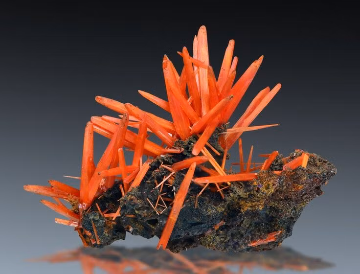 Nổi tiếng nhất ở Tasmania (Úc). Các mỏ ở Dundas, Tasmania, Australia, là nơi có những tinh thể crocoite đẹp nhất thế giới. Ảnh: Pinterest.