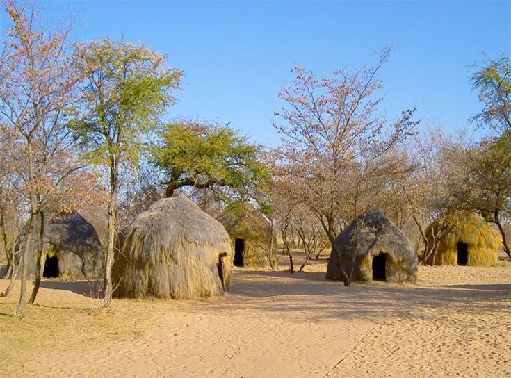 Họ còn được gọi là người Bushmen. Tên này do người châu Âu đặt, nghĩa là “người của bụi rậm”. Ảnh: Pinterest.
