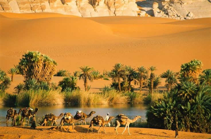 Được UNESCO công nhận Di sản Thế giới. Các hồ Ounianga được UNESCO ghi danh nhờ giá trị địa chất và khả năng minh chứng cho biến đổi khí hậu lâu dài. Ảnh: Pinterest.