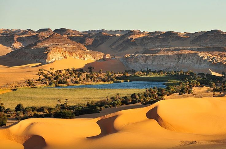 Hệ sinh thái mong manh nhưng đặc biệt. Dù điều kiện tự nhiên khắc nghiệt, nơi đây vẫn có cá, thực vật và chim sinh sống. Ảnh: Pinterest.